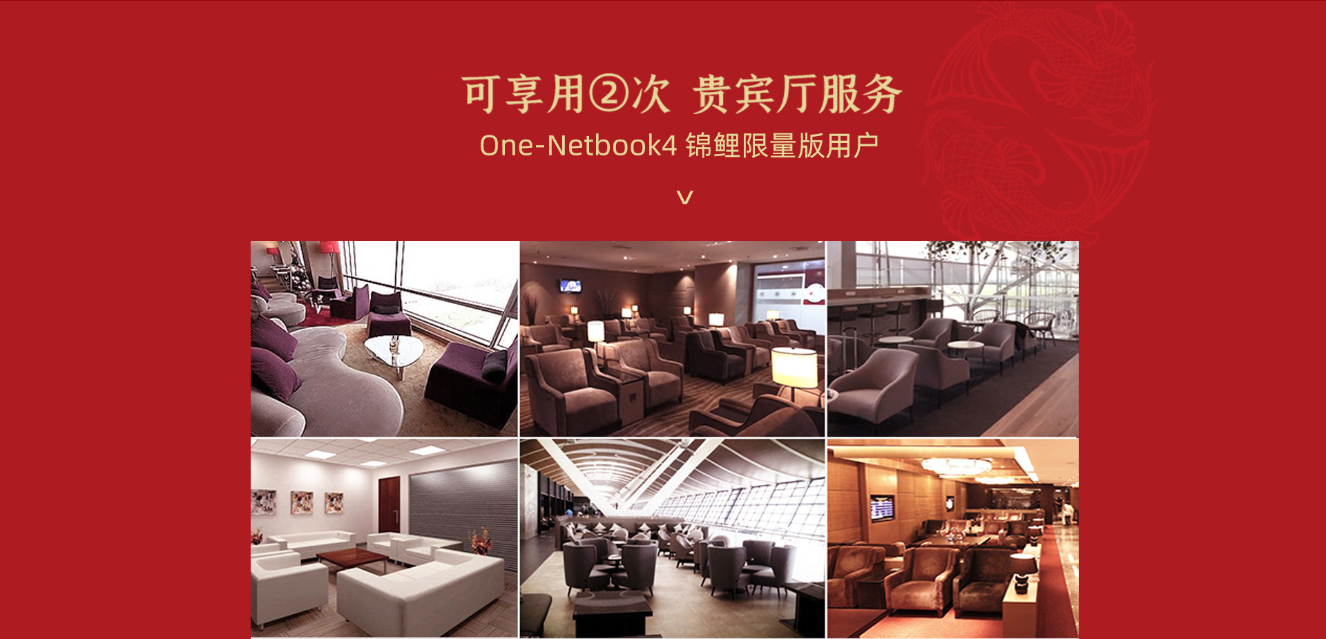 壹號本4代錦鯉版